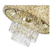 Люстра ST-Luce Seline SL1637.302.10 цвет плафона/подвески Прозрачный, Шампань, цвет арматуры Латунь-2