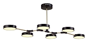 Люстра на штанге EVOLUCE Monta SLE6004-402-06 цвет черный-1
