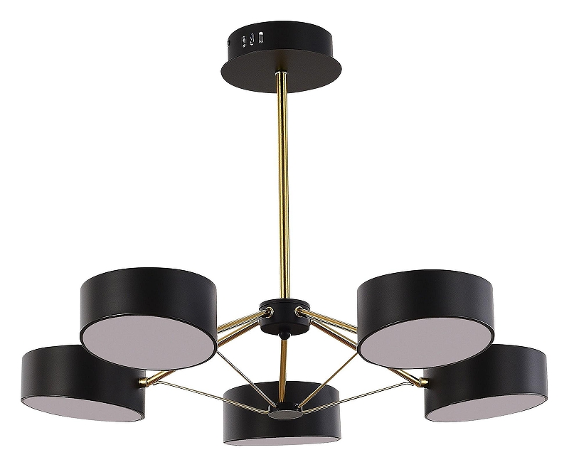 Люстра на штанге EVOLUCE Valle SLE6005-402-05 