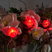 Гирлянда с насадками Uniel ULD-S0400 UL-00003394 -4