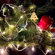 Гирлянда Нить Uniel ULD-S0500 UL-00005256 длина 5000 мм-7