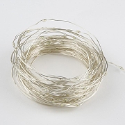 Гирлянда Нить Uniel ULD-S1000 UL-00007186 длина 10000 мм-2