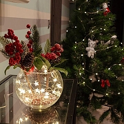 Гирлянда с насадками Uniel UL-00008619 цвет плафона/подвески Прозрачный-10