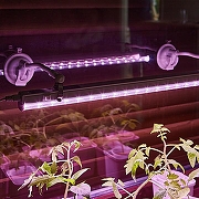 Набор креплений накладных для светильника Uniel UFP-M01R UL-00010109 цвет Белый-6