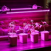 Набор креплений накладных для светильника Uniel UFP-M01R UL-00010109 цвет Белый-7