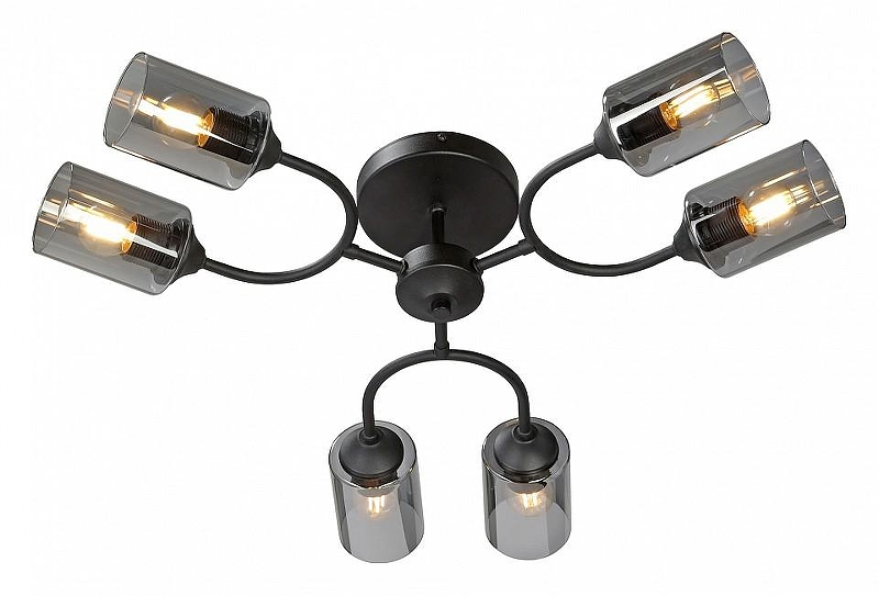 Люстра Vitaluce V2823 V2823-1/6PL 