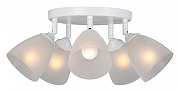 Люстра Vitaluce V4355 V4355-0/5PL цвет плафона/подвески Белый, цвет арматуры Белый