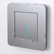 Рамка на 1 пост Werkel Platinum (алюминий) W0012606 цвет Серебро-1