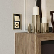 Рамка на 2 поста Werkel Baguette (черный/латунь) W0022852 цвет Латунь, Черный-1