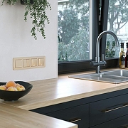 Рамка на 4 поста Werkel Platinum (шампань) W0042611 цвет Бежевый-1