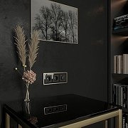 Рамка на 3 поста Werkel Baguette (черный/латунь) W0032852 цвет Латунь, Черный-3