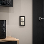 Выключатель проходной двухклавишный с подсветкой без рамки Werkel слоновая кость W1120103 цвет Слоновая кость-2