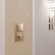 Выключатель проходной двухклавишный без рамки Werkel шампань W1122011 цвет Бежевый-2