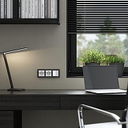 Розетка с заземлением и со шторками, без рамки Werkel белый акрил W1171141 цвет Белый-2