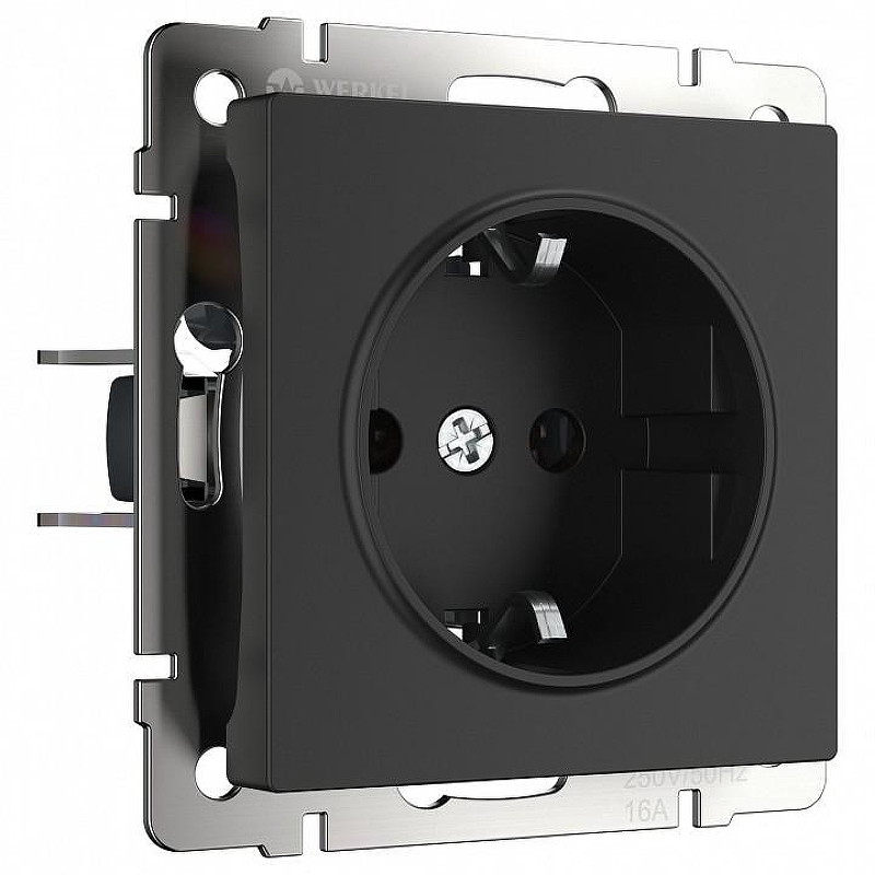 Розетка с заземлением, без рамки Werkel черный матовый W1171308 