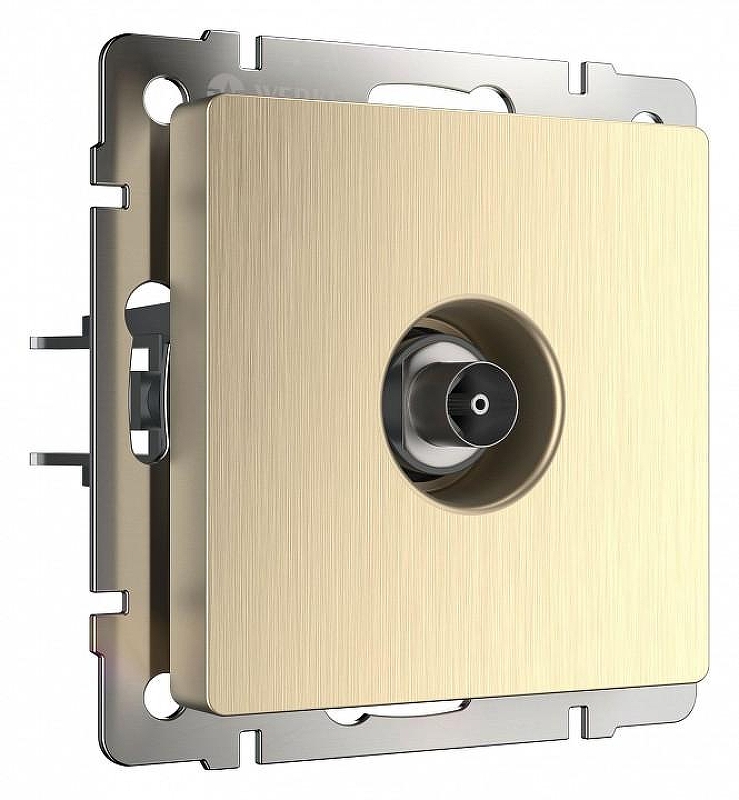 ТВ-розетка без рамки Werkel шампань рифленый W1183010 