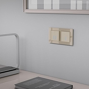 Выключатель двухклавишный с подсветкой без рамки Werkel шампань W4520011 цвет Бежевый-3