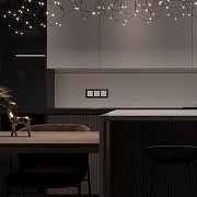 Выключатель сенсорый двухклавишный с подсветкой, без рамки Werkel белый W4522001 цвет Белый-2