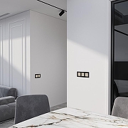 Выключатель сенсорый двухклавишный с подсветкой и функцией Wi-Fi, без рамки Werkel шампань W4523011 цвет Бежевый-3