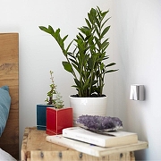 Выключатель двухклавишный Werkel Gallant (белая) W5020001 цвет Белый-1