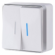 Выключатель двухклавишный с подсветкой Werkel Gallant (белая) W5020101 цвет Белый