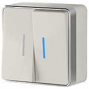 Выключатель двухклавишный с подсветкой Werkel Gallant (слоновая кость) W5020103 цвет Слоновая кость