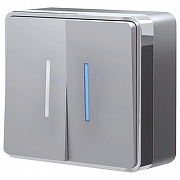 Выключатель двухклавишный с подсветкой Werkel Gallant (серебряный) W5020106 цвет Серебро