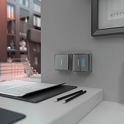 Выключатель двухклавишный с подсветкой Werkel Gallant (серебряный) W5020106 цвет Серебро-1