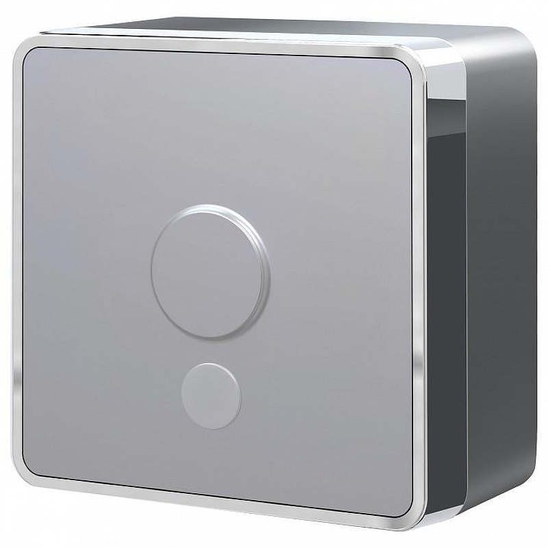 Розетка для вывода кабеля без рамки Werkel Gallant (серебряный) W5050206 