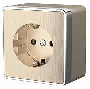 Розетка с заземлением Werkel Gallant (шампань рифленый) W5071010 цвет Бежевый