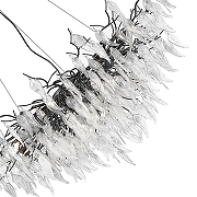 Люстра Wertmark Dan1ela WE182.15.023 цвет плафона/подвески Прозрачный, цвет арматуры Черный-3