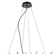 Люстра Wertmark Dan1ela WE182.19.023 цвет плафона/подвески Прозрачный, цвет арматуры Черный-4