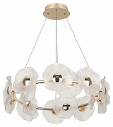 Люстра Rivoli Shannon Б0061947 цвет плафона/подвески Прозрачный, цвет арматуры Золото-2