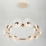 Люстра Rivoli Shannon Б0061947 цвет плафона/подвески Прозрачный, цвет арматуры Золото-5