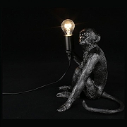 Зверь световой Aployt Magali APL.309.24.01 цвет арматуры Черный-2