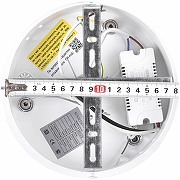 Подвесной светильник Natali Kovaltseva Sad Queen INNOVATION STYLE 83126 цвет плафона/подвески Прозрачный, цвет арматуры Белый-10