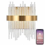 Накладной светильник Natali Kovaltseva LED LAMPS 81118 LED LAMPS 81118/1W цвет плафона/подвески Прозрачный, цвет арматуры Золото-3