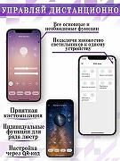 Накладной светильник Natali Kovaltseva LED LAMPS 81118 LED LAMPS 81118/1W цвет плафона/подвески Прозрачный, цвет арматуры Золото-6