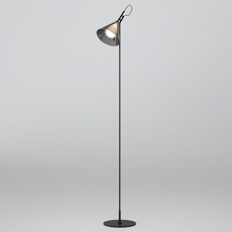 Торшер Eurosvet Enigma 01187/1 черный 