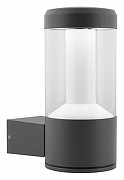 Светильник на штанге Arlight Stem 029985 цвет плафона/подвески Прозрачный, цвет арматуры Серый