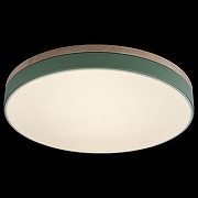 Накладной светильник Loft it Axel 10001/36 Green цвет плафона/подвески Белый, Зеленый, цвет арматуры Зеленый-2