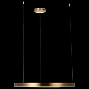 Подвесной светильник Loft it R1ng 10013L цвет латунь-4