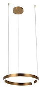 Подвесной светильник Loft it R1ng 10013M цвет латунь-1