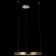 Подвесной светильник Loft it R1ng 10013M цвет плафона/подвески Латунь, цвет арматуры Латунь-5