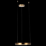 Подвесной светильник Loft it R1ng 10013S цвет латунь-5