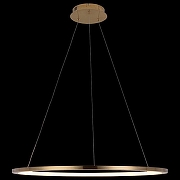 Подвесной светильник Loft it R1ng 10014L цвет плафона/подвески Золото, цвет арматуры Золото-3