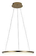 Подвесной светильник Loft it R1ng 10014M цвет золото-2