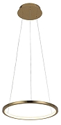 Подвесной светильник Loft it R1ng 10014S цвет золото-1