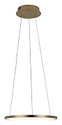 Подвесной светильник Loft it R1ng 10014S цвет золото-2