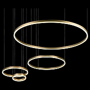 Подвесной светильник Loft it R1ng 10017/4L цвет плафона/подвески Золото, цвет арматуры Золото-3